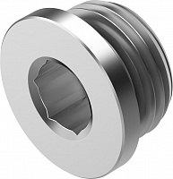 Plug screw NPQR-BK-G12 – фото