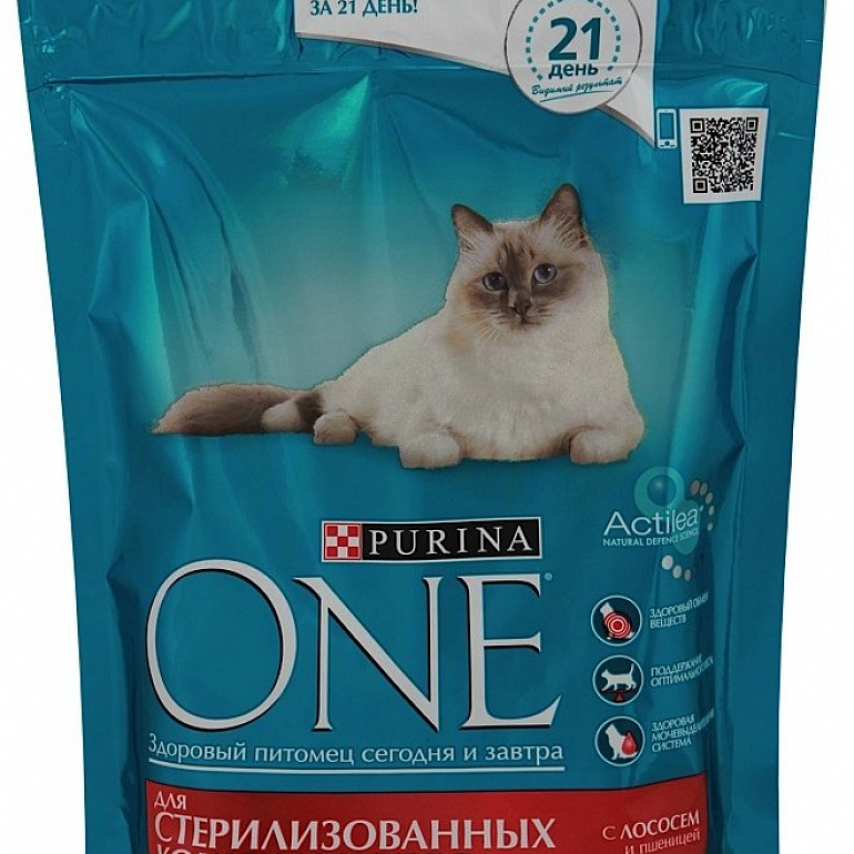 Корма - фото Корма - фото