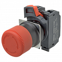 A22NE-S-P222-N – фото