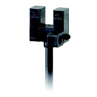 EE-SX953P-W 1M – фото